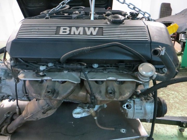 bmw m54 engine